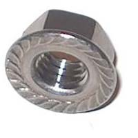 SS Flange Nuts